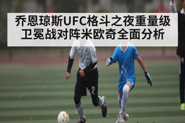 乔恩琼斯UFC格斗之夜重量级卫冕战对阵米欧奇全面分析