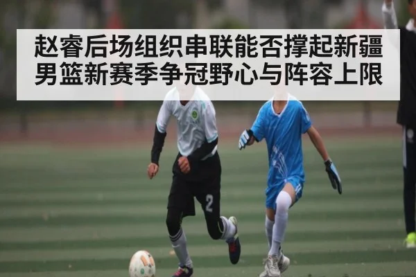 赵睿后场组织串联能否撑起新疆男篮新赛季争冠野心与阵容上限